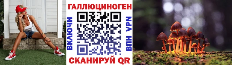 сайты даркнета наркотические препараты  МЕГА онион  Знаменск  Псилоцибиновые грибы прущие грибы 
